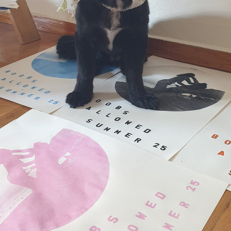 Small black dog standing on a wooden floor with a calendar in the background